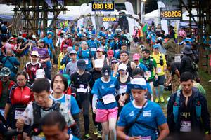 BIB: 000, 130, 090, 194, 9020, 122, 8163, 0148, 
                            <button type="button" onclick="openModal(13431305)" class="btn btn-primary btn-sm float-right btn-popup" data-toggle="modal" data-target=".modal-high-quality">
                        <i class="fas fa-shopping-cart"></i> Add to Cart
                    </button>
                                            <button type="button" onclick="isThisMe(13431305, true)" class="btn btn-success btn-sm float-right btn-popup btn-isme hidden" data-toggle="tooltip" data-placement="bottom" title="นี่คือรูปของคุณใช่ไหม คลิกที่นี่เพื่อเอาเข้าอัลบั้ม">
                        <i class="fas fa-plus"></i> Add to album
                    </button>
                    <button type="button" onclick="isThisMe(13431305, false)" class="btn btn-warning btn-sm float-right btn-popup btn-isnotme hidden">
                        <i class="fas fa-ban"></i> Remove from album
                    </button>